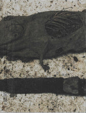 Load image into Gallery viewer, Fišnarka : Lysohalvien Radio (Album,Limited Edition,Numbered)

