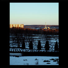 Load image into Gallery viewer, Various : Sverige (LP,Compilation,Limited Edition)
