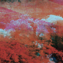 Load image into Gallery viewer, Imminent Death / Kate Rissiek : Rigid Horizon (Album)
