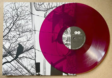 Load image into Gallery viewer, Kazumoto Endo / A Fail Association : Switchback / Head Cannon (LP,Album)
