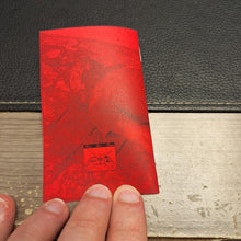 Load image into Gallery viewer, Bile Ducts (2) : Lavish Deterioration (Limited Edition)
