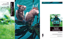 Load image into Gallery viewer, Altar Of Flies : Auditory Hallucinations (Limited Edition)
