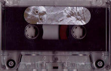 Load image into Gallery viewer, Altar Of Flies : Auditory Hallucinations (Limited Edition)
