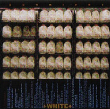 Load image into Gallery viewer, Kites / Prurient : The Hidden Family / +White+ ()
