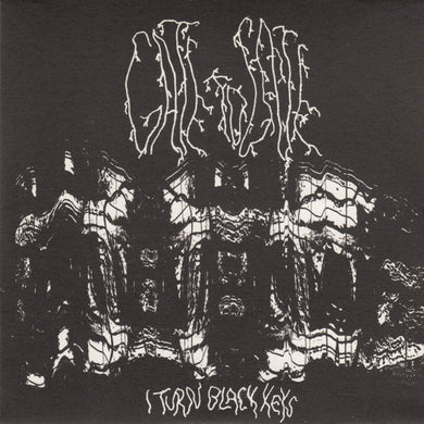 Gate To Gate : I Turn Black Keys (Album,Limited Edition)