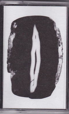 A Snake In The Garden : Paralysis And Leaving The Body ()