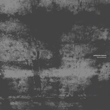 Load image into Gallery viewer, Pedestrian Deposit : The Architector (LP,Album)
