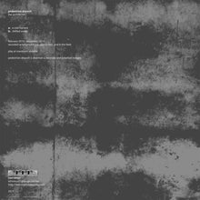 Load image into Gallery viewer, Pedestrian Deposit : The Architector (LP,Album)

