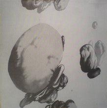 Load image into Gallery viewer, Yellow Swans : Global Clone (Compilation,Limited Edition)
