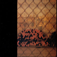 Load image into Gallery viewer, Zaïmph : Sexual Infinity (Album)
