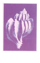 Load image into Gallery viewer, Mattias Gustafsson (2) : Tapeworks Volume V (Single Sided)
