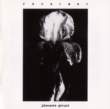 Load image into Gallery viewer, Prurient : Pleasure Ground (Album)
