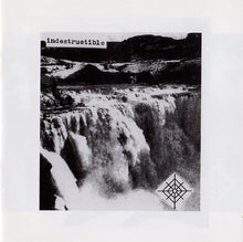 Load image into Gallery viewer, Prurient : Pleasure Ground (Album)
