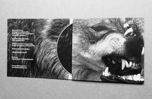 Load image into Gallery viewer, Eryck Abecassis &amp; Francisco Meirino : La Gueule Du Loup (Album)
