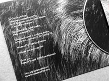 Load image into Gallery viewer, Eryck Abecassis &amp; Francisco Meirino : La Gueule Du Loup (Album)
