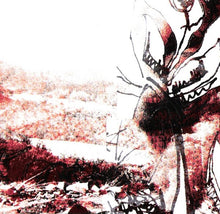 Load image into Gallery viewer, Con-Dom / Militia (2) : Scorched Earth Policy (Album,Reissue)
