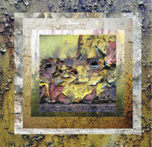 Load image into Gallery viewer, Blue Sabbath Black Cheer &amp; irr. app. (ext.) &amp; New Blockaders, The : DDTTNBX (Album)

