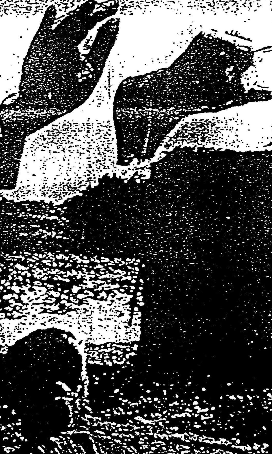 PENIS GEYSER CS (Reanimated Miscarriage)