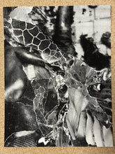 Load image into Gallery viewer, Devin Horan Collage Prints
