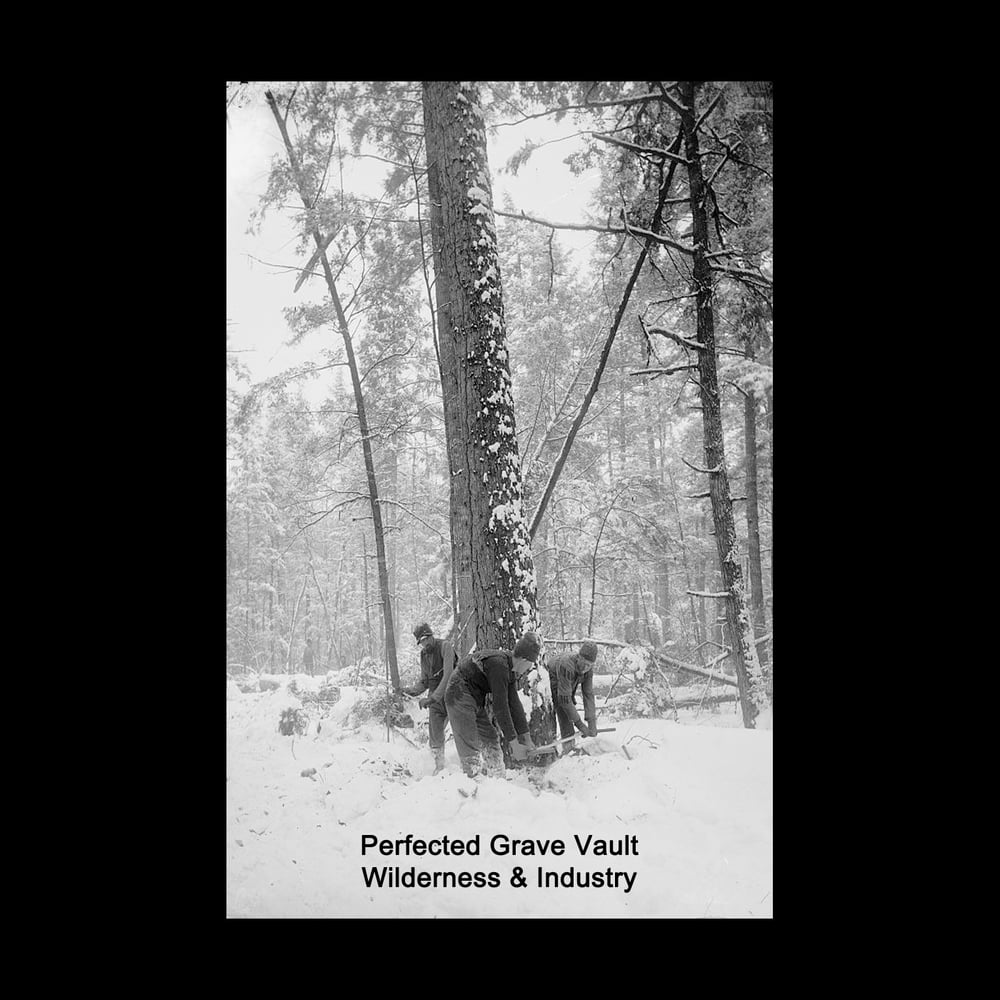 Perfected Grave Vault - Wilderness & Industry CS (New Forces)